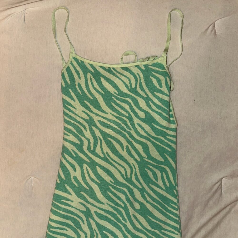 Zara Animal Jacquard Knit Dress